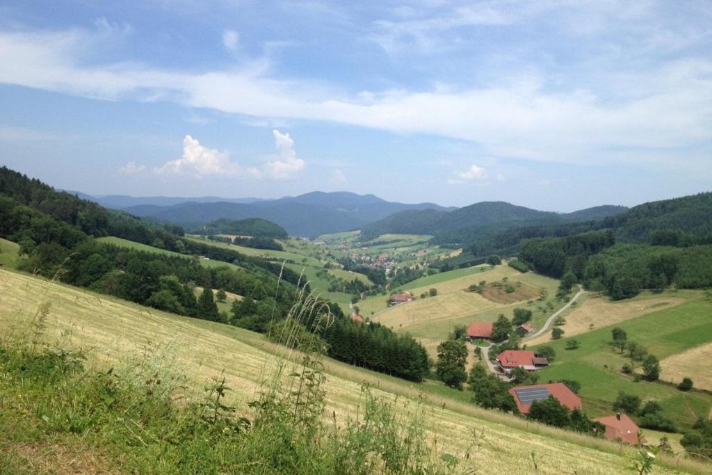 Haus Alle Jahreszeiten Willingen  Buitenkant foto